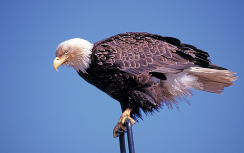 ����������� �����